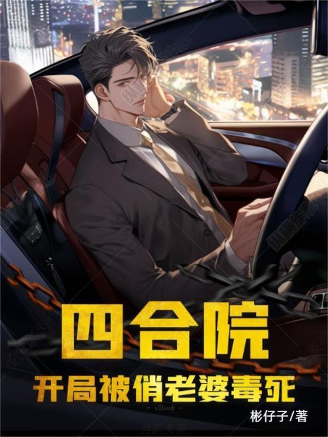 四合院开局娶二个老婆的