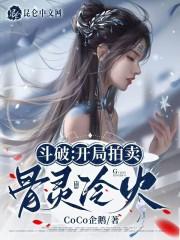 斗破之拍卖所
