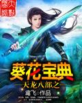 天龙八部怀旧服向日葵