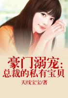 豪门风云ⅰ总裁的私有宝贝