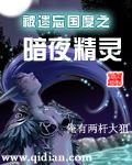 被遗忘国度之暗夜精灵 txt