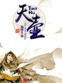 豫宣天壶