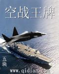 空战王牌之鹰烈九天最