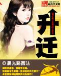 升迁之路林远方