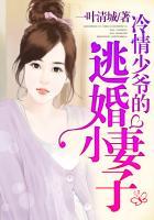 冷情少爷txt