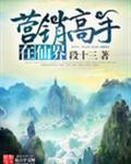 营销高手视频