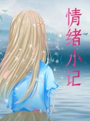 情绪小记是什么
