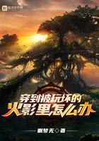 穿越火影被掰弯
