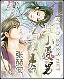 冷酷王爷与小受男妃安以甯