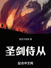 圣剑侍从洛克王国