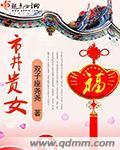 市井贵女简介