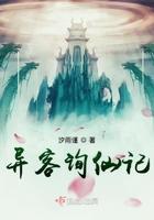 异客指的是什么意思?