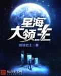 星海领主怎么样