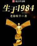生于1984番外之炮辉车祸
