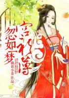 忽如一梦宫衫薄叶廷钧