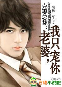 克妻总裁的第8个老婆