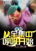 从海贼开始的投影