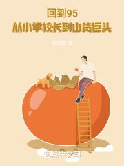回到1995全文免费阅读