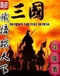纵横三国的铁血骑兵