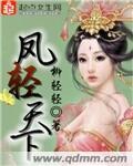 凤轻系列