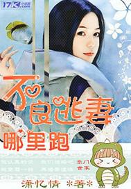 不良宠妻免费阅读