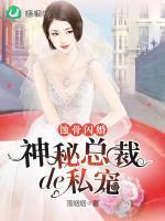 蚀骨闪婚神秘总裁的私宠叶栗陆柏庭