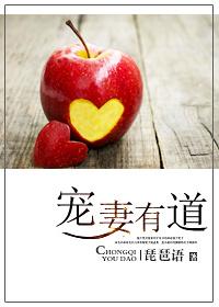 宠妻有道2五枂全文免费