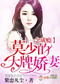 墨少的专属妻