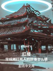 红楼穿越成薛蟠的