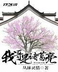 我是诸葛大力的哥哥