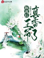 和离后王爷真香了动漫