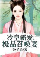 极品召唤师