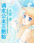调皮公主的六大美男txt