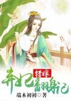 错嫁王妃 书名