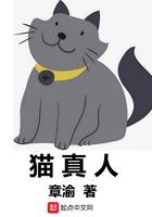 别墅躲猫猫真人