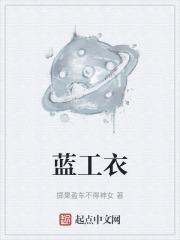蓝工衣图片