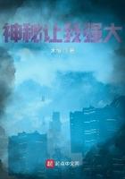 神秘让我强大实力划分
