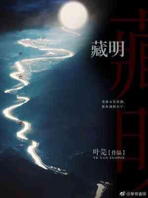 藏明于内