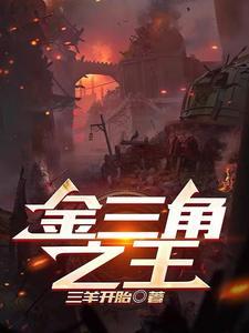 金三角之伤