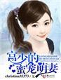 宫少宠妻无下限免费阅读