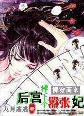 穿越后宫类