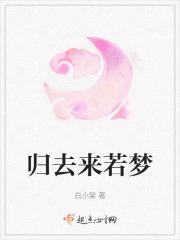 归去来什么
