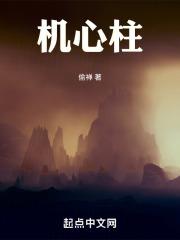 机心柱