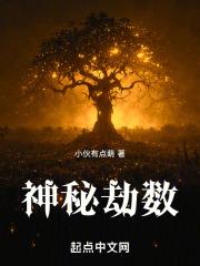 神秘劫数