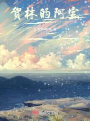 贺林的阿宝