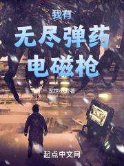 我有无尽弹药电磁枪