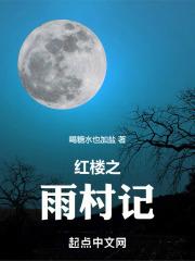 红楼之雨村记