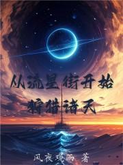 从流星街开始狩猎诸天