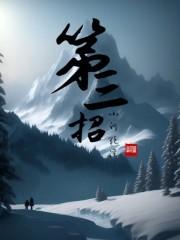 第三招