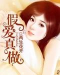 假爱真做